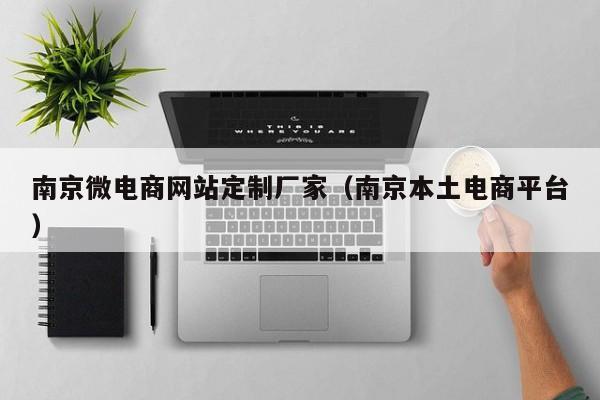 南京微电商网站定制厂家（南京本土电商平台）
